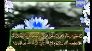 سورة الطارق الشيخ عمر القزابري