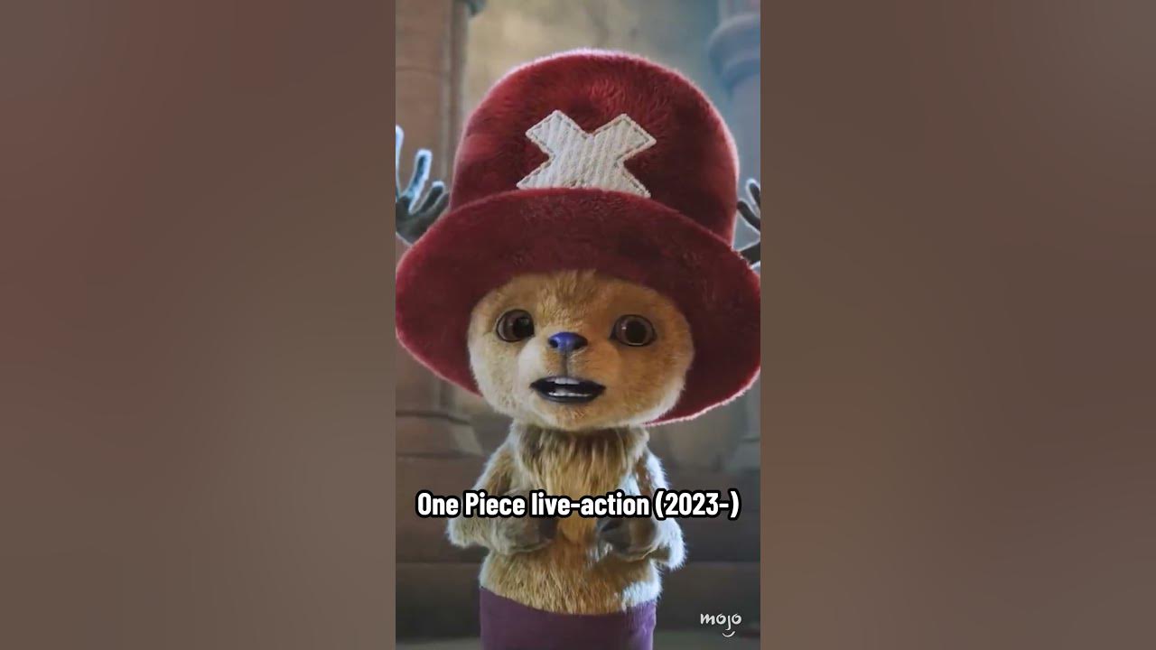 Chopper In One Piece: Side by Side Comparison