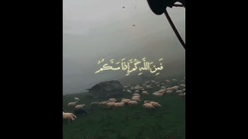 قرآن كريم بصوت جميل جدا😴❤️#القارئ محمد المنشاوي#حالات واتس اب دينية قصيرة#سبحان الله