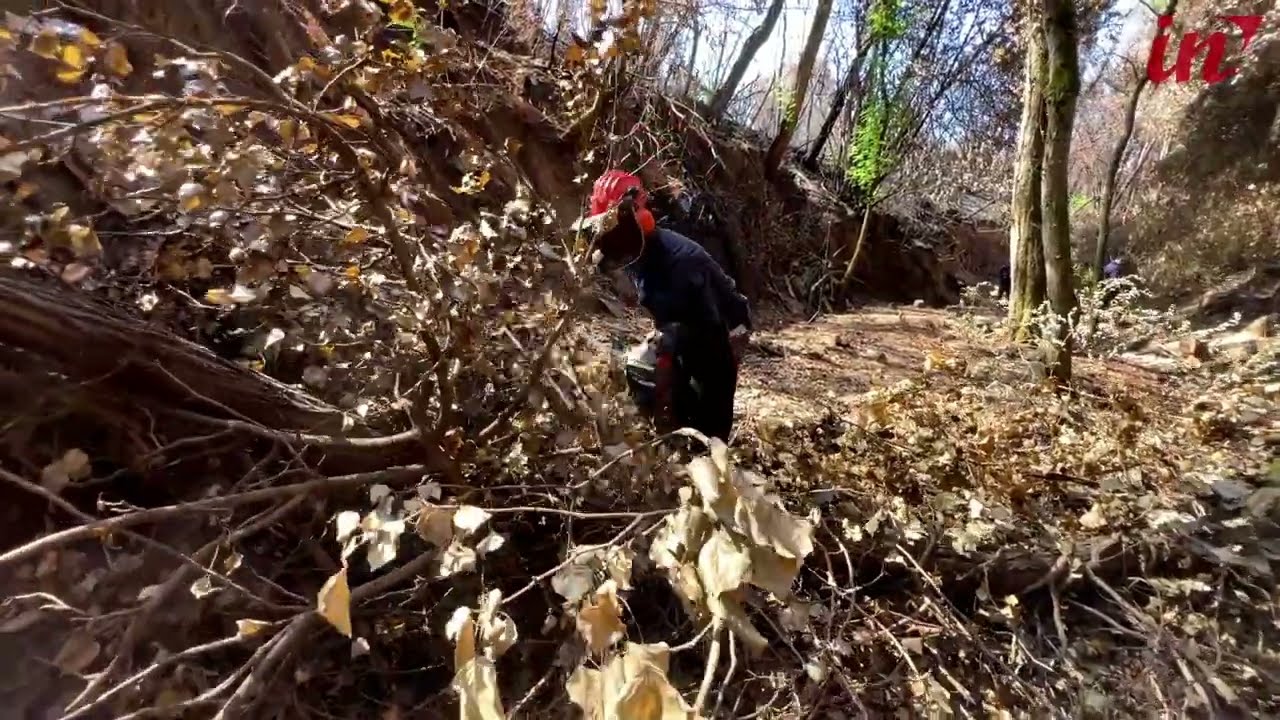 Maxi rogo a Massarosa, avviata la bonifica dei corsi d'acqua