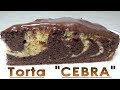 Bizcocho MARMOLADO ESPONJOSO con COBERTURA de CHOCOLATE 🥮 Torta Marmolada