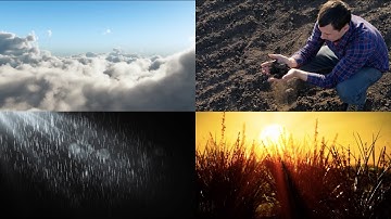 Real World: Food Security - Monitoring Crops from Space