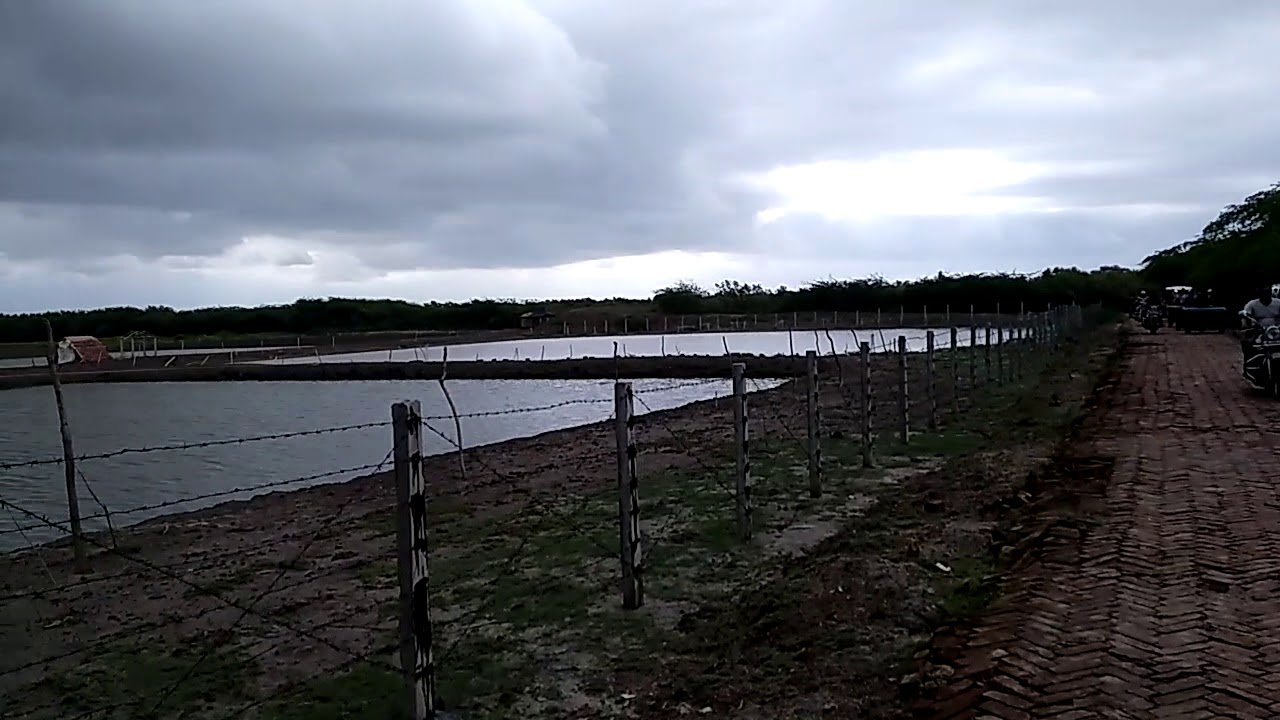 Henry Island, Bakkhali- Road Condition Of Henry Island For Bike Riding