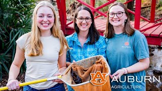 Travel the world while helping the environment with Auburn University Environmental Science