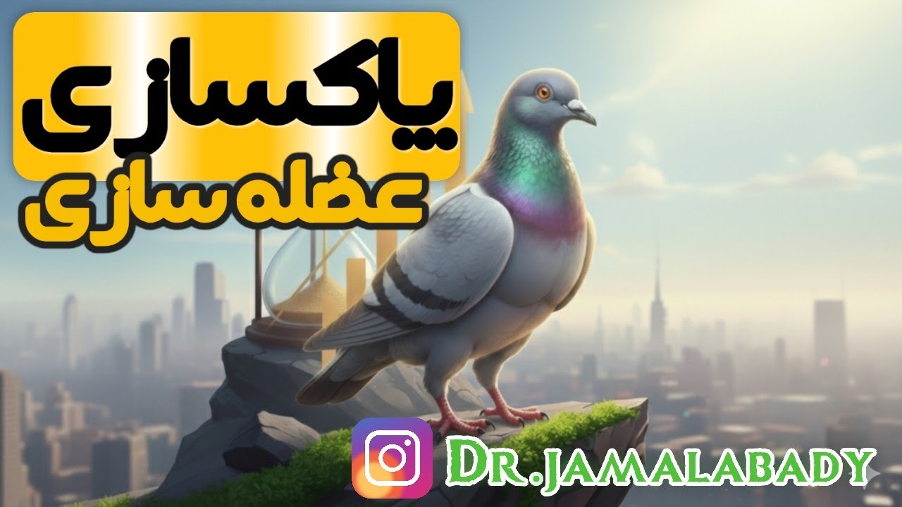 پاکسازی و عضله سازی در کبوتران