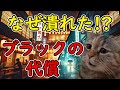 【猫ミーム】居酒屋「和民」はなぜ潰れたのか？元祖・最強チェーンの悲劇とは…