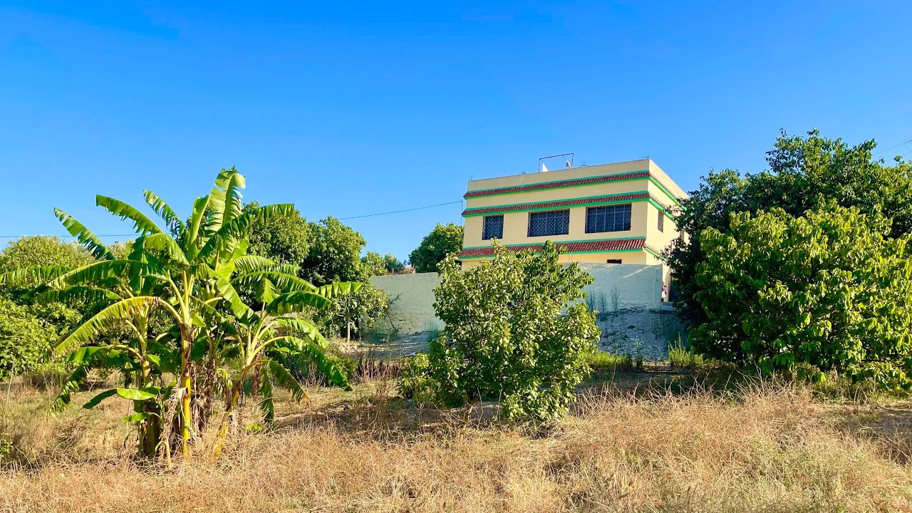 فيرما محفضة كتحمق مليئة بالاشجار المثمرة مساحة هكتار 0703640826 نواحي القصر الصغير طنجة