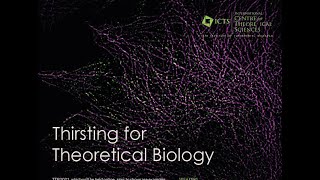 Mechanobiology of the Mitotic Spindle - 1 by Iva Tolić