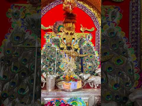 *बोल श्री साँवरिया सेठ की जयஜ۩sलो कर लो आज के दर्शन मेरे सांवरिया सेठ जी का*🌺🙏🏻जय श्री श्याम #love