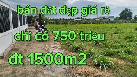 M S 1739♥️ bán đất xã An Lộc Long Long An đt 1500m2 chỉ có 750 triệu#0386725208#