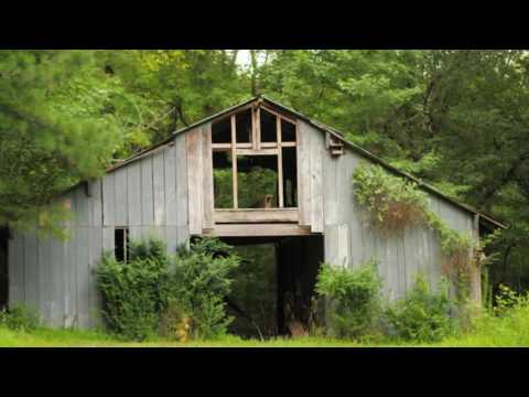 1661 Airline Road, McDonough, GA home video tour