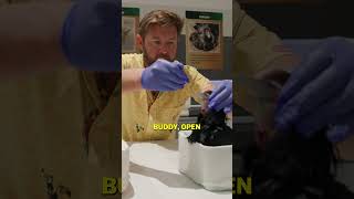 Spoon Feeding Baby Birds