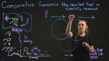 Comparative Genomics: The new cool tool in Scientific Research by Carly Boyd