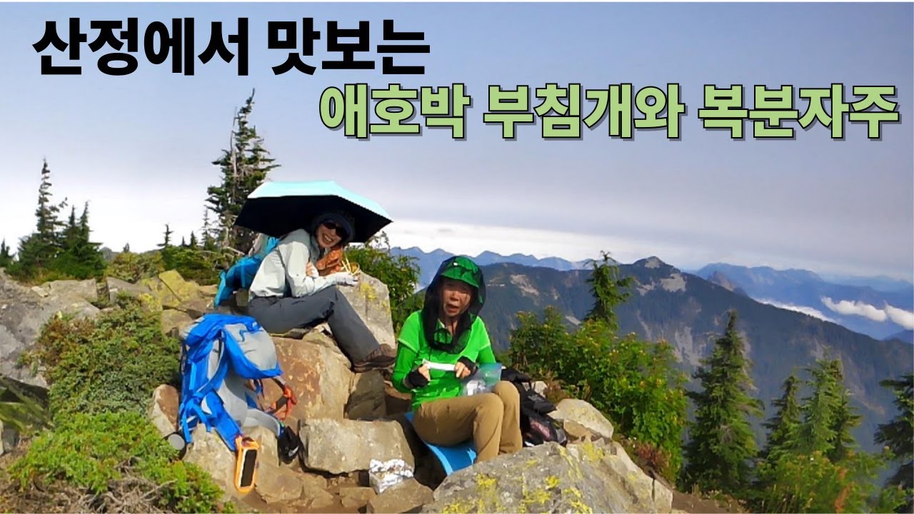 Mt. Defiance & Mason Lake WA / 8월에 멋진 야생화 하이킹