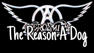 Watch Aerosmith The Reason A Dog video