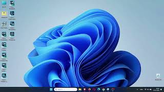 Topolt 17 Licenta Permanenta