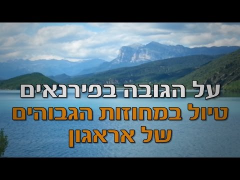 וִידֵאוֹ: כלבי הפירנאים הגדולים היפואלרגניים, בריאות ותוחלת חיים