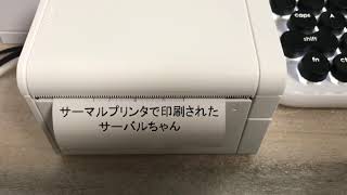 サーマルプリンターでサーバルちゃんを印刷してみた