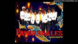 Video voorbeeld van "Carmelita- Los Pavorreales De Capacuaro"