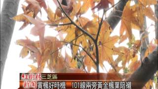 1031219紅樹林有線新聞