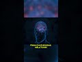 The Circadian Disruption Explained #facts #brain #didyouknow #science