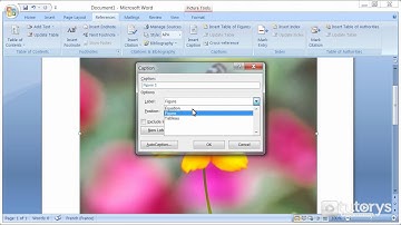 How to insert captions with Word 2007?