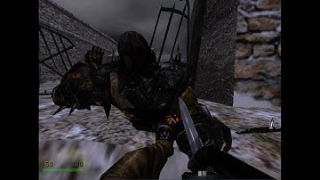 RealRTCW - Age Of Horror - Part 05