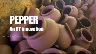 PEPPER - An innovative Initiative of RT