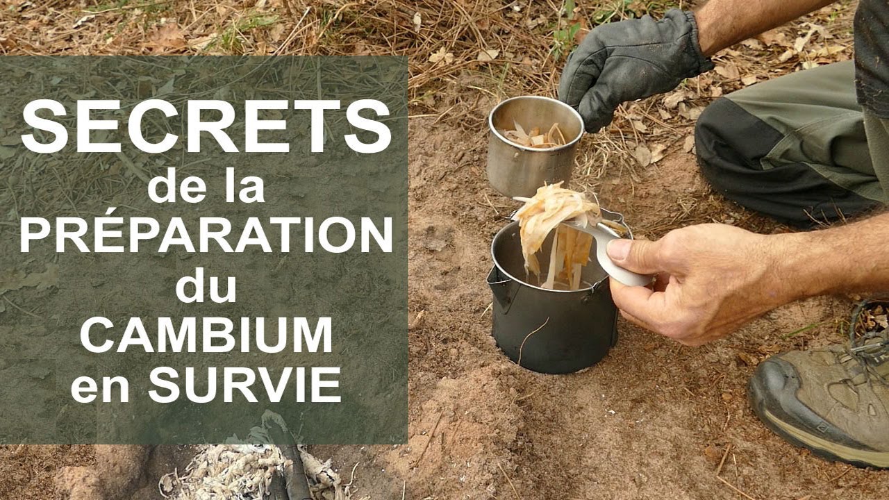 Comment ne jamais mourir de faim ? Apprenez cette technique !