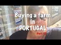 Journey to buying a FARM in PORTUGAL: Part 12
