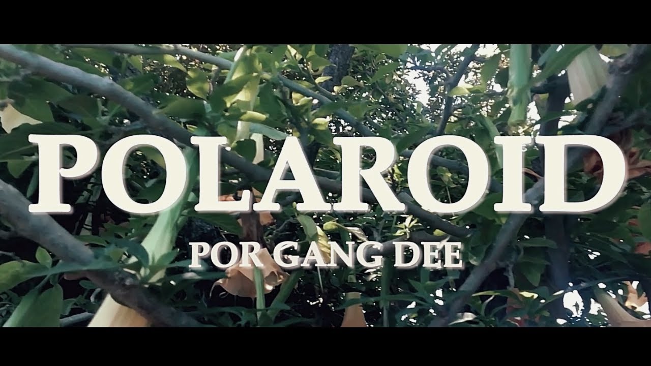 Παρακολούθηση POLAROID - GANG DEE (Vídeo Oficial) στο YouTube