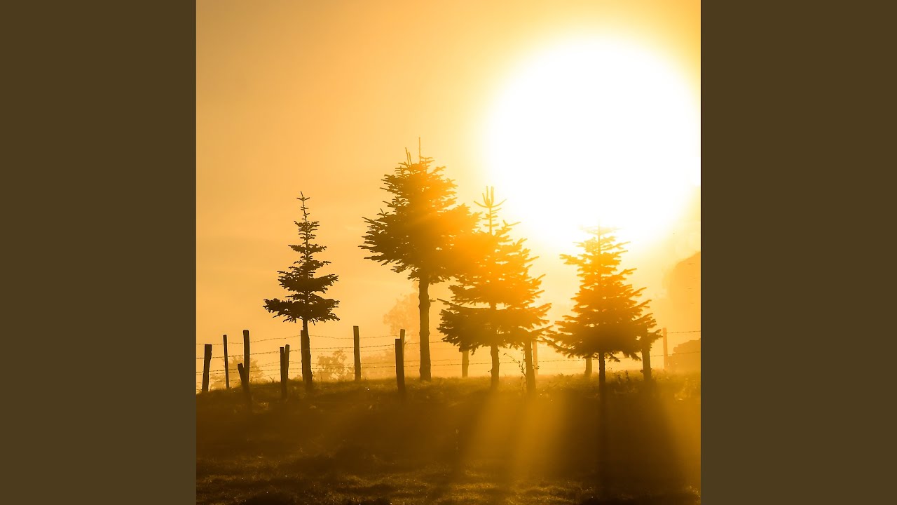 Sleduj 심신의 예열을 위한 피아노 (잠에서 깬 후) na YouTube