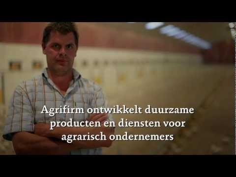 Videó: Agrofirm Nestor Sushary Faluban, A Puskin Körzetben