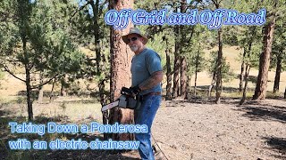 Felling a Ponderosa Tree with an Electric Chainsaw,  Off Grid and Off Road