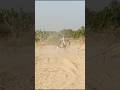 funny donkey #animals #youtubeshorts