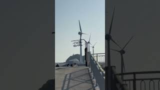 Korea Daebu Island #youtubeshorts