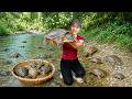 [TIMELAPSE] -- 316 Days Harvesting A Lot Of Softshell Turtle, Fish Go To Village Market Sell