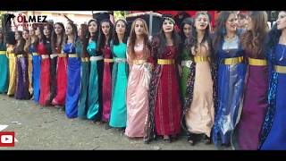 Kürt Genç kızların Şahane Xerzani Halayı Okan & Kader düğünü Şiyar Berwari
