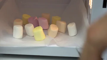 Was passiert wenn man ein Marshmallow in die Mikrowelle macht?