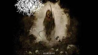 Harvest - Naglfar