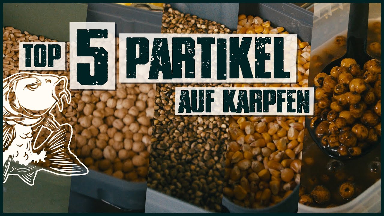 TOP 5 Partikel Köder - Günstige BOILIE-ALTERNATIVE [Wirkung und Lagerung]
