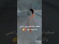 اليوم عرس اختي اليوم عرس اختي