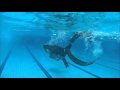 Aida2 freediving course dynamic training 20 feb 2016