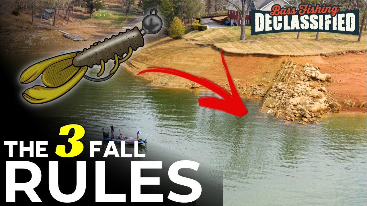 10 Years of Fall Swing Head Fishing taught me this…
