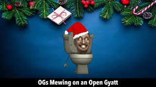 Ogs Mewing On An Open Gyatt