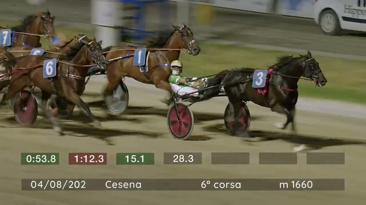 2026 08 04 | Corsa 6 | Metri 1660 | Premio Rotary E Rotaract Club Cesena - Tomaso Grassi Award 2026
