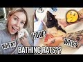 BATHING RATS & TRIMMING NAILS?! 🐭🛁 | KristenLeannimal