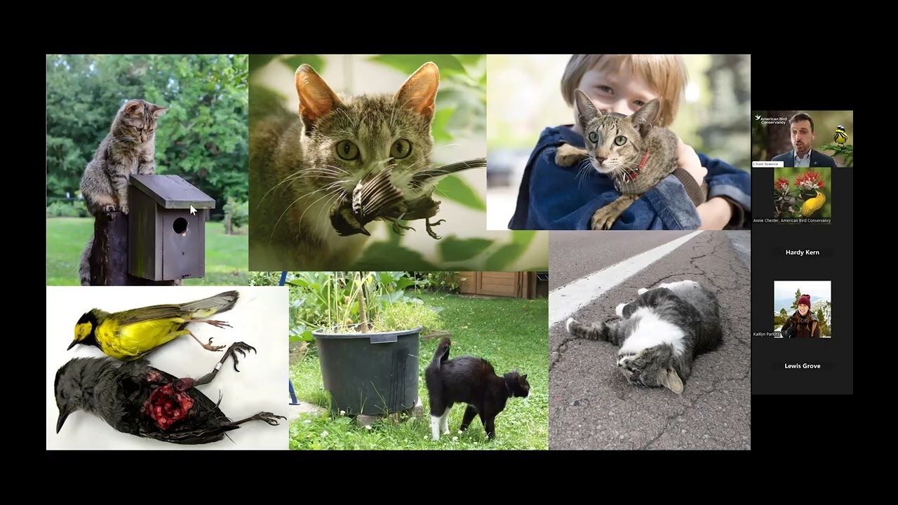 ABC State Legislative Guide to Bird Conservation