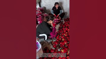 Manual Red Pepper Sorting & Bagging | No Machinery Needed