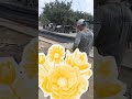 شو انتو حراميه زازا اكسبلور زازا مراد علمدار لايك سوريا ستوريات مصر